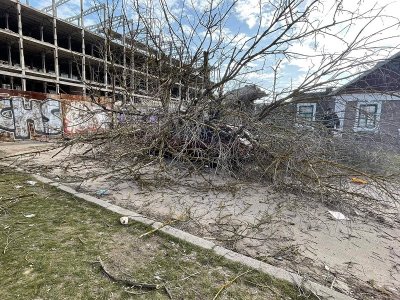 У Херсоні продовжують падати дерева