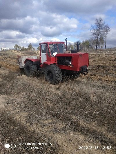 Олешківське ЛМГ вже почало лісокультурну кампанію 2022 року