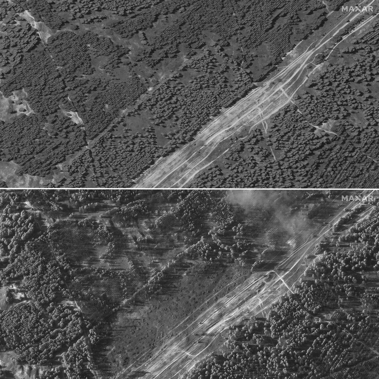 Таврійський ліс на Херсонщині: фото "до" та "після" хазяйнування російських мародерів
