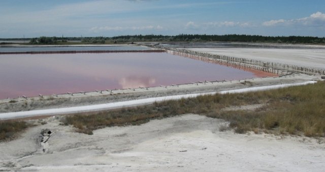 АМКУ виявило можливі ознаки змови на аукціонах з продажу об’єктів, які придбав нардеп−зрадник Ковальов