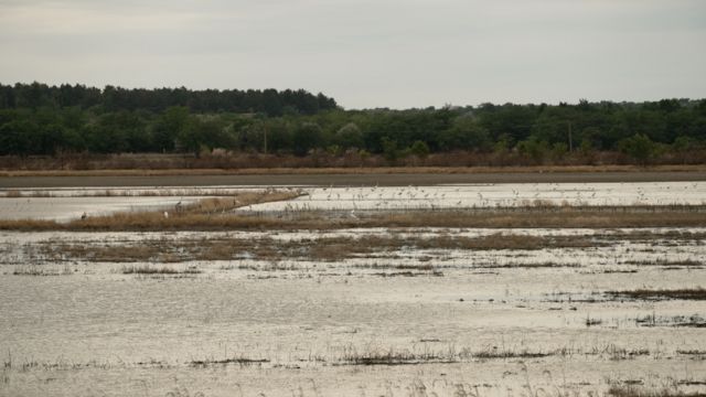 Наслідки повені біля Павло-Марʼянівки Миколаївської області.