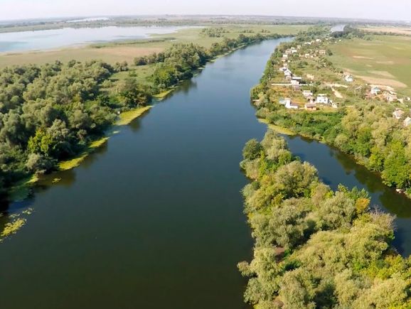 В річці Кошовій на Херсонщині вміст розчиненого кисню перевищує норму в 10 разів