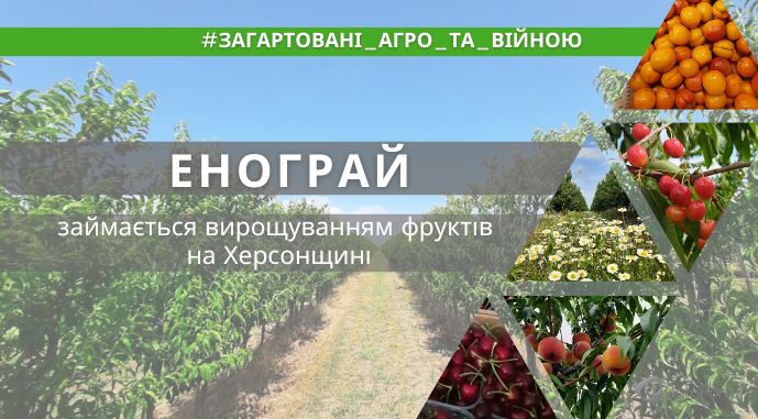 Підприємство на Херсонщині розпочало збір урожаю та планує закласти унікальний сад персиків