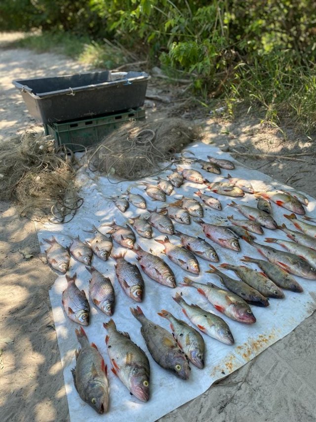 На Херсонщині працівники водної поліції затримали браконьера, який завдав збитків державі на понад 200 тисяч гривень