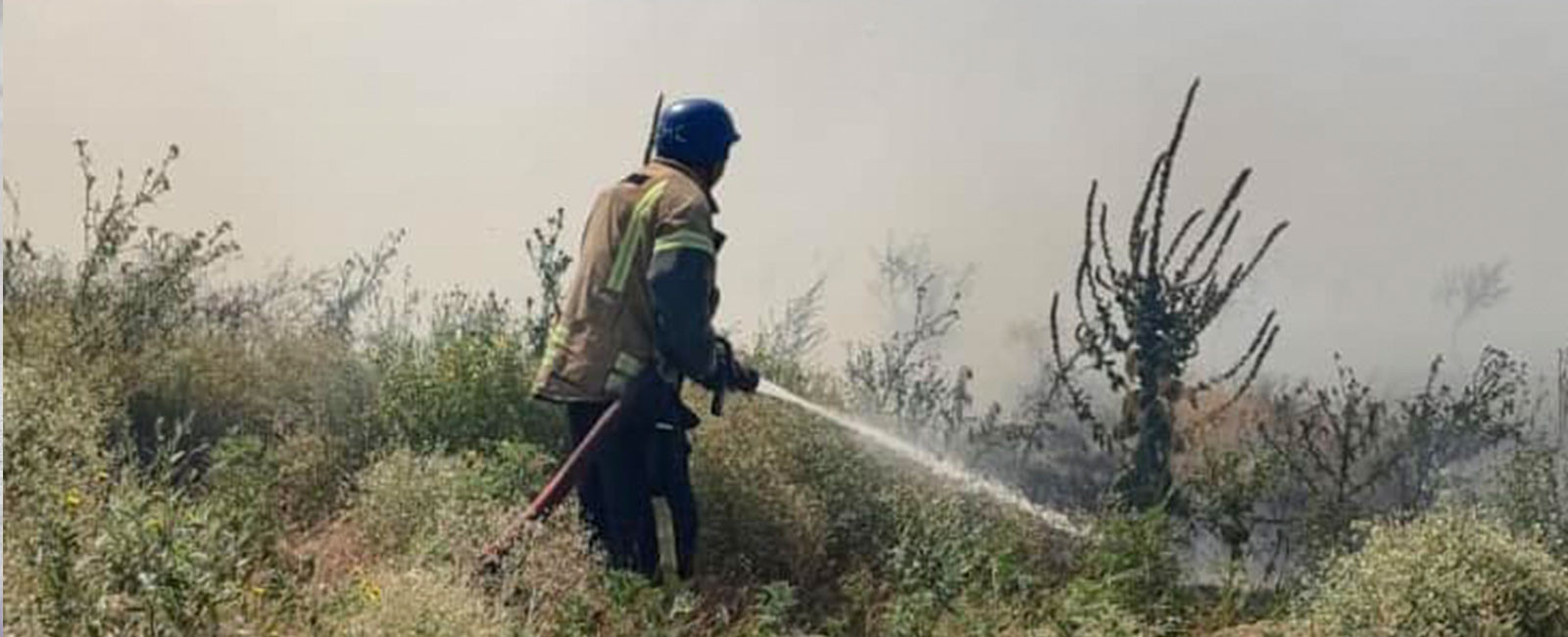 Учора в Бериславському районі пожежники ліквідували 4 пожежі на відкритих територіях