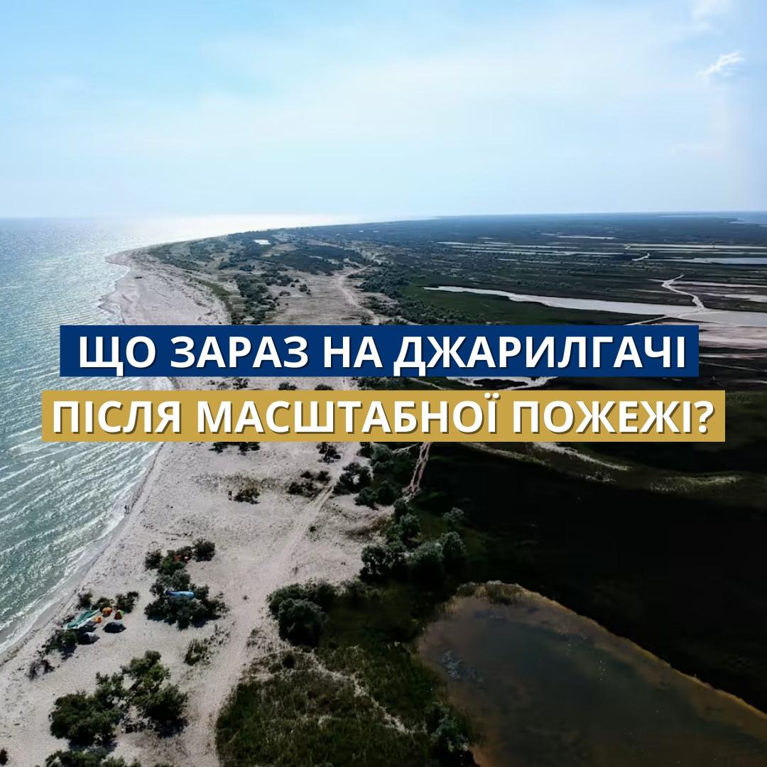 «Більшість рідкісних тварин Джарилгача живе не на суходолі» — зоолог про наслідки екоциду рф