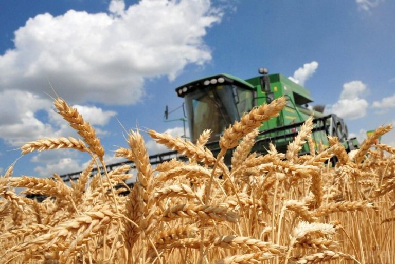 Окупанти повідомляють про завершення збору врожаю зернових на лівобережжі Херсонщини