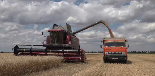 Особливості жнив під дулом автомата