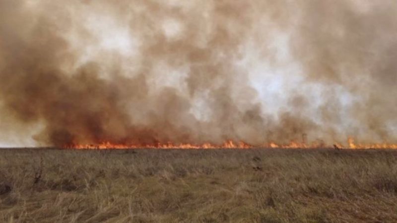 За час окупації на території заповідника «Асканія-Нова» було 7 пожеж