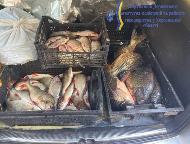 На лаві підсудних опинився мешканець Білозерської громади за незаконний вилов риби на понад 6,5 млн грн