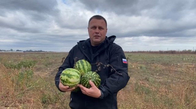 Окупантам прийшлись до вподоби херсонські кавуни