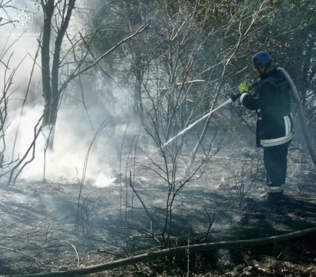 На Херсонщині продовжують горіти екосистеми!