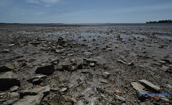 Ні пустелі, ні наступу рослин-чужинців: науковці вивчають відновлення рослинності на дні колишнього Каховського моря