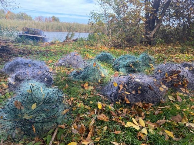 На Херсонщині водні поліцейські попередили завдання збитків державі на суму понад 750 тисяч гривень