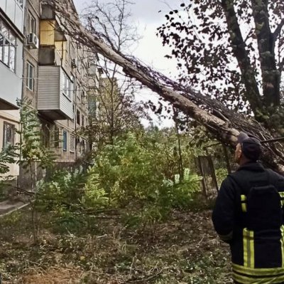 Рятувальники Херсона прибирали повалені дерева