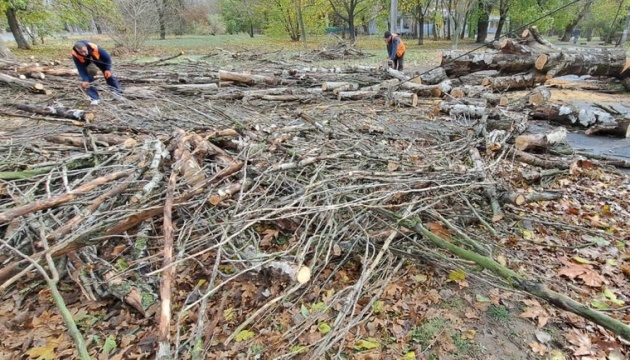 У Херсоні вітер повалив дерева