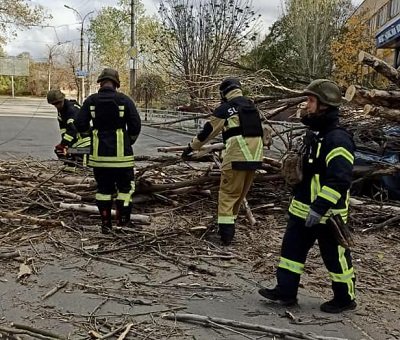 Рятувальники Херсона прибирали повалені дерева