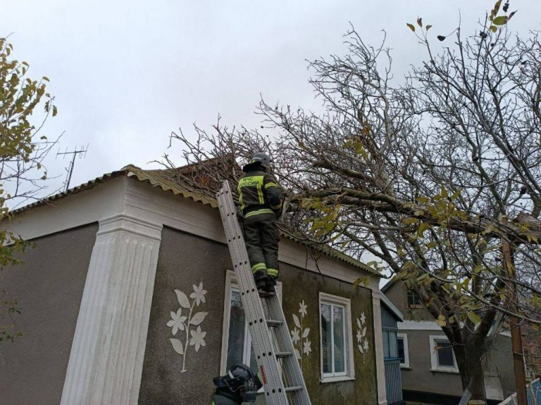 Окупанти повідомляють про 47 пошкоджених будівель внаслідок негоди на Херсонщині