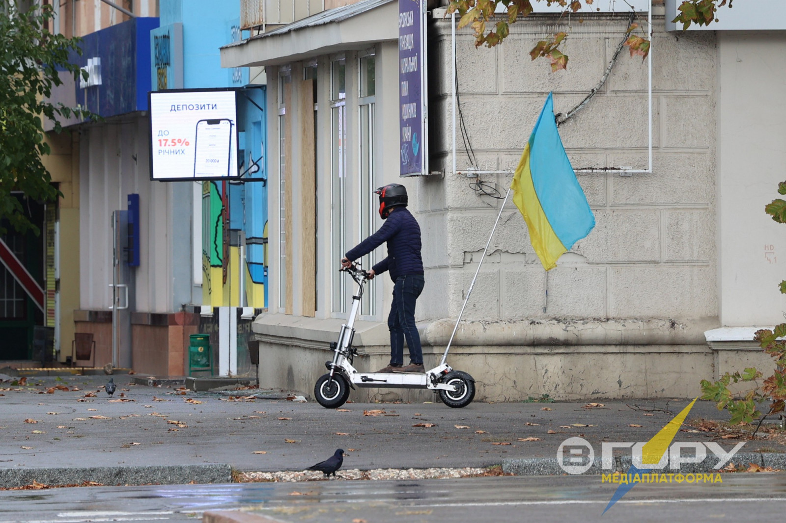 По місту курсували патріотичні автівки та навіть патріотично вдягнені песики