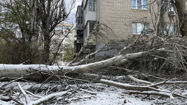 Внаслідок негоди на Херсонщині без електропостачання залишаються 34 населені пункти — ОВА