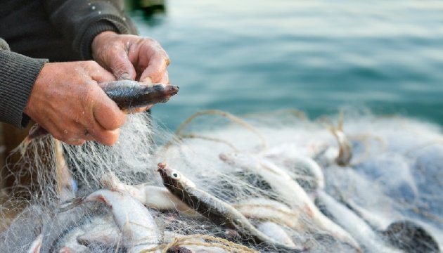 Незаконний вилов риби на майже 5 млн грн – судитимуть двох мешканців Станіславської громади