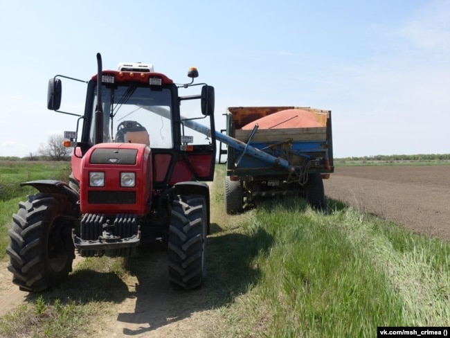 Рисове поле, Красноперекопський район Криму, 4 травня 2022 року
