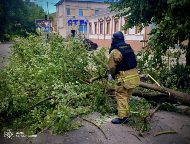 Херсонські рятувальники двічі виїжджали на прибирання дерев, що повалило сильними поривами вітру