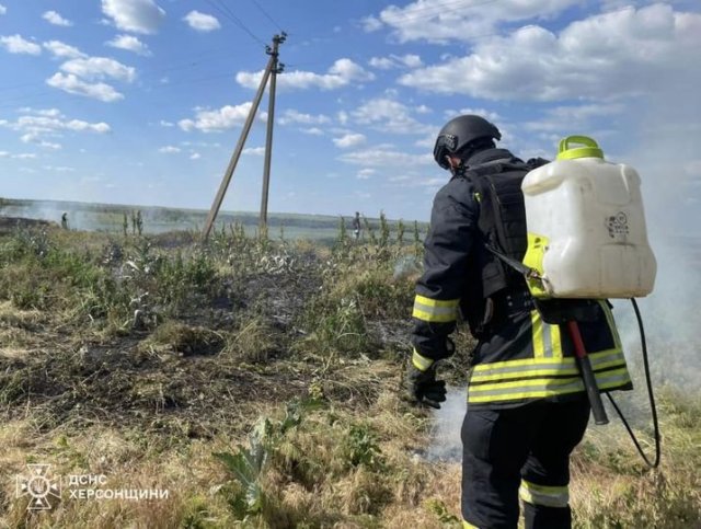 В Бериславському районі рятувальники гасили пожежу сухостою