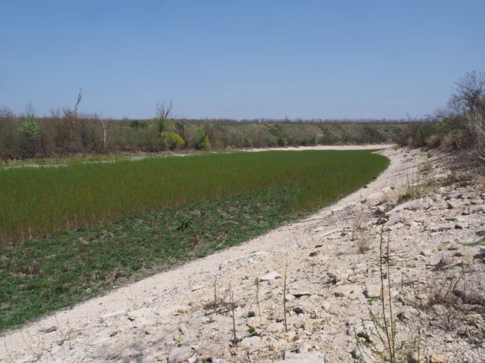 Вапнякові відслонення на колишньому дні Каховського водосховища. Фото: Іван Мойсієнко