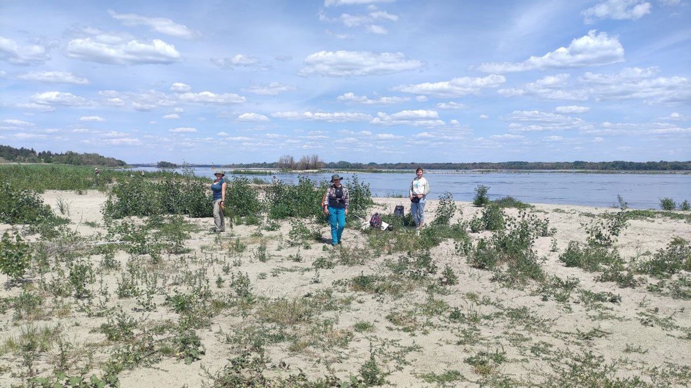 В Мінекології розповіли про нинішній стан Каховського водосховища