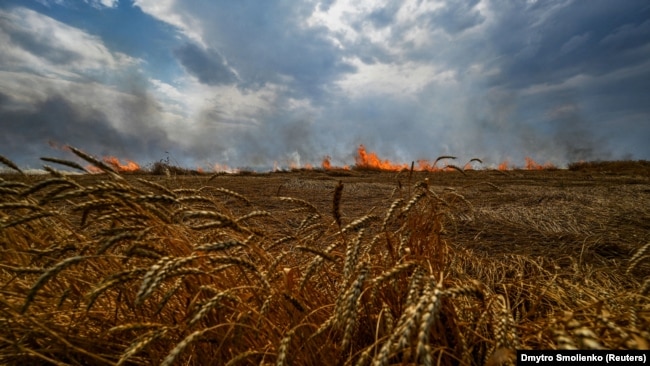 Біля лінії фронту на адміністративній межі між Запорізькою і Донецькою областями палає пшеничне поле, липень 2022 року