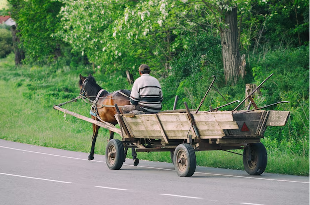 Росіяни планують поставляти на лівобережжя Херсонщини продукцію сільського господарства з Дагестану