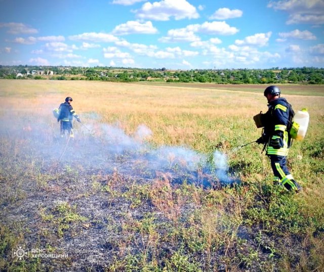 Чотири пожежі в екосистемах ліквідували рятувальники Херсонщини протягом минулої доби