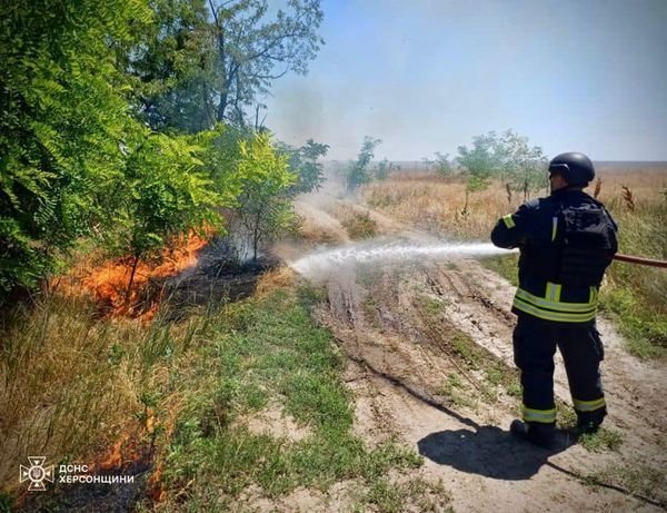 За добу в екосистемах області ліквідовано 4 пожежі