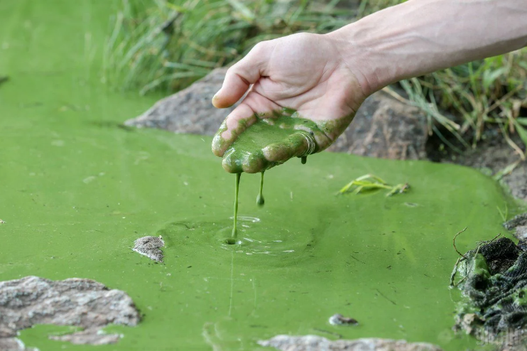 Росіяни визнали проблему з якістю води на лівобережжі Херсонщини