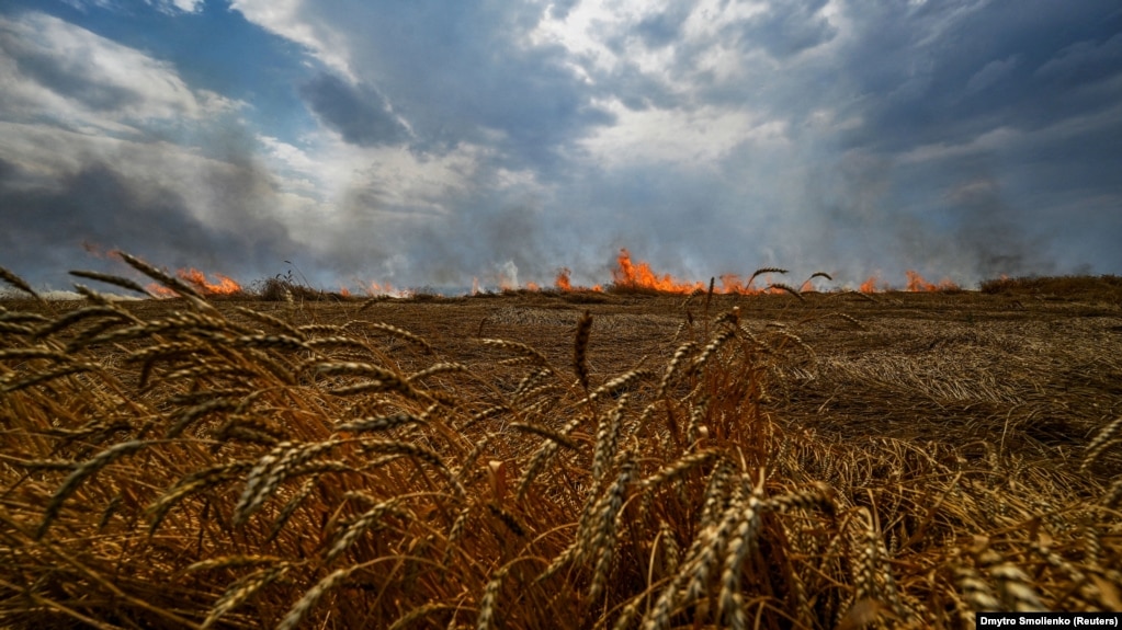 «Врожаї катастрофічно малі, окупанти погрожують штрафами»: доля агробізнесу на півдні без води