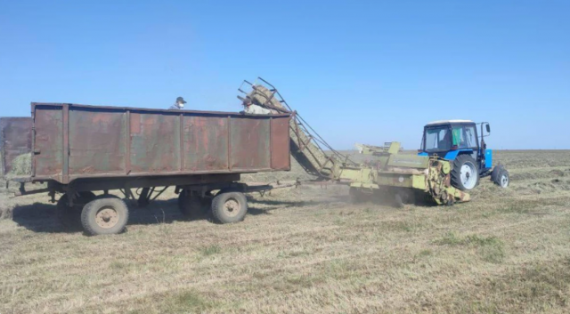 В заповіднику "Асканія-Нова" окупаційна влада незаконно створила протипожежні прокоси та розриви