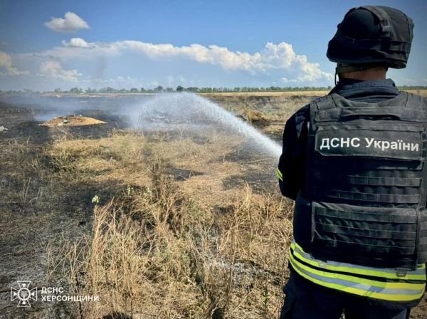 У Херсонському районі ліквідовано дві пожежі в екосистемах