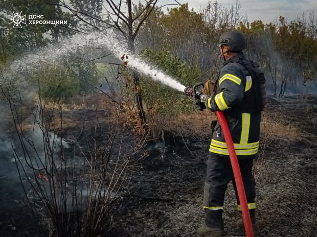 Рятувальники продовжують боротися з пожежами в області