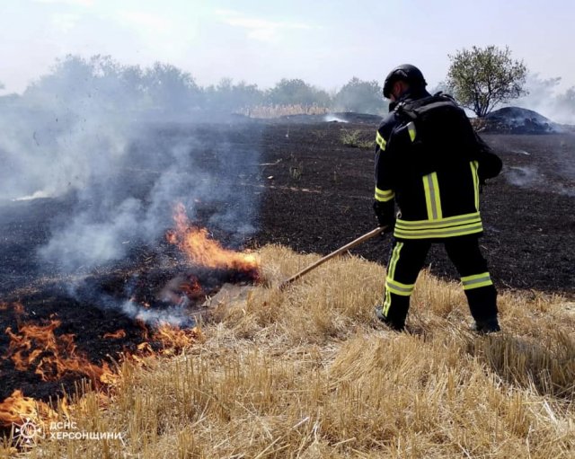 Упродовж доби в екосистемах Херсонщини ліквідовано 5 пожеж