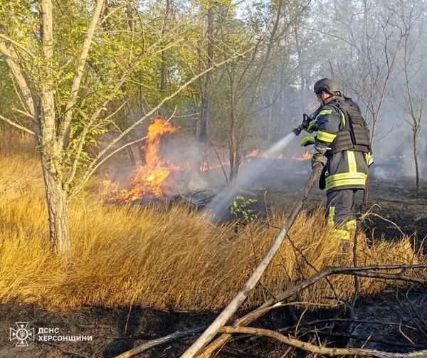 Протягом доби на Херсонщині ліквідовано 4 пожежі в екосистемах