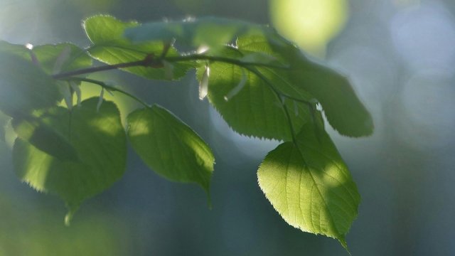 Якою буде погода на Херсонщині 14 вересня