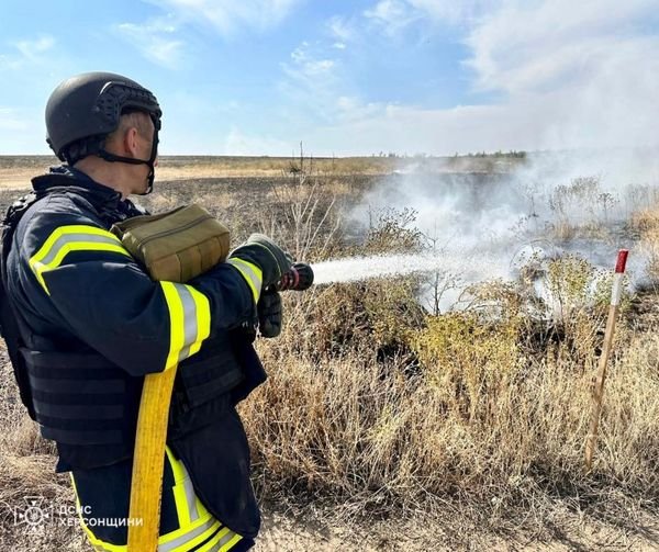 За добу на Херсонщині ліквідовано 3 пожежі в екосистемах