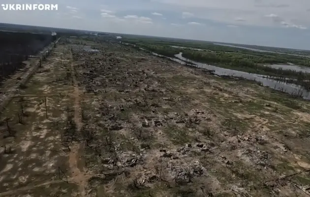 В ССО розповіли про ліквідацію в районі Кринок російського командира з позивним "Панда"