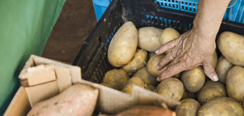 Картопля і не тільки: якими продуктами слід запастись українцям на зиму