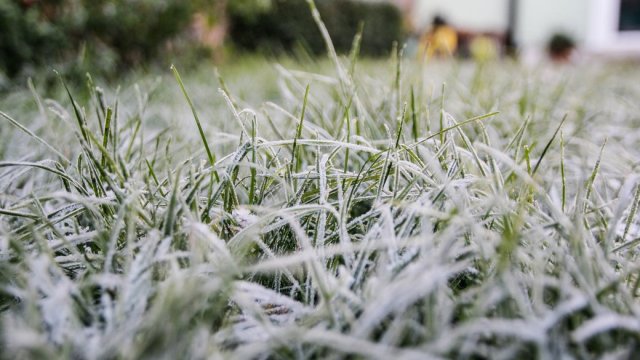 Синоптики прогнозують заморозки на Херсонщині