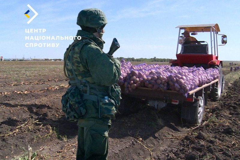 Окупанти змусять фермерів примусово віддавати не лише зерно, а й зібрані овочі