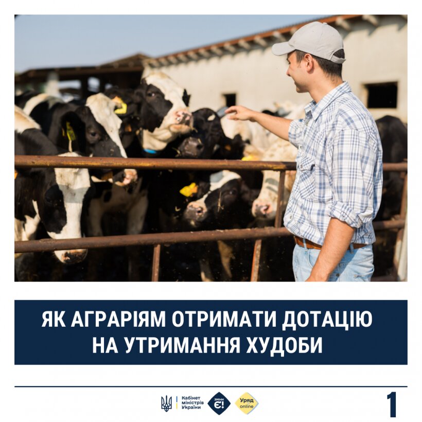 Українським аграріям дадуть дотації на утримання худоби: хто та скільки може отримати