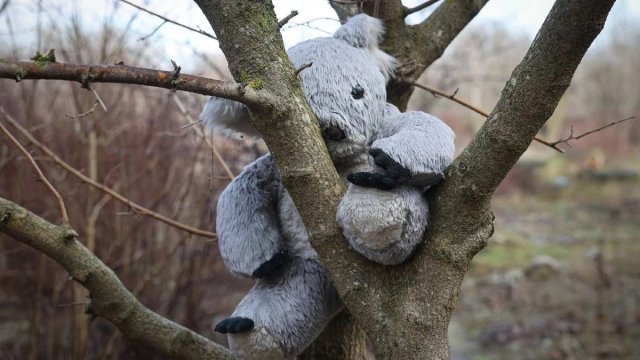 З окупованої Херсонщини вдалось повернути трьох дітей 