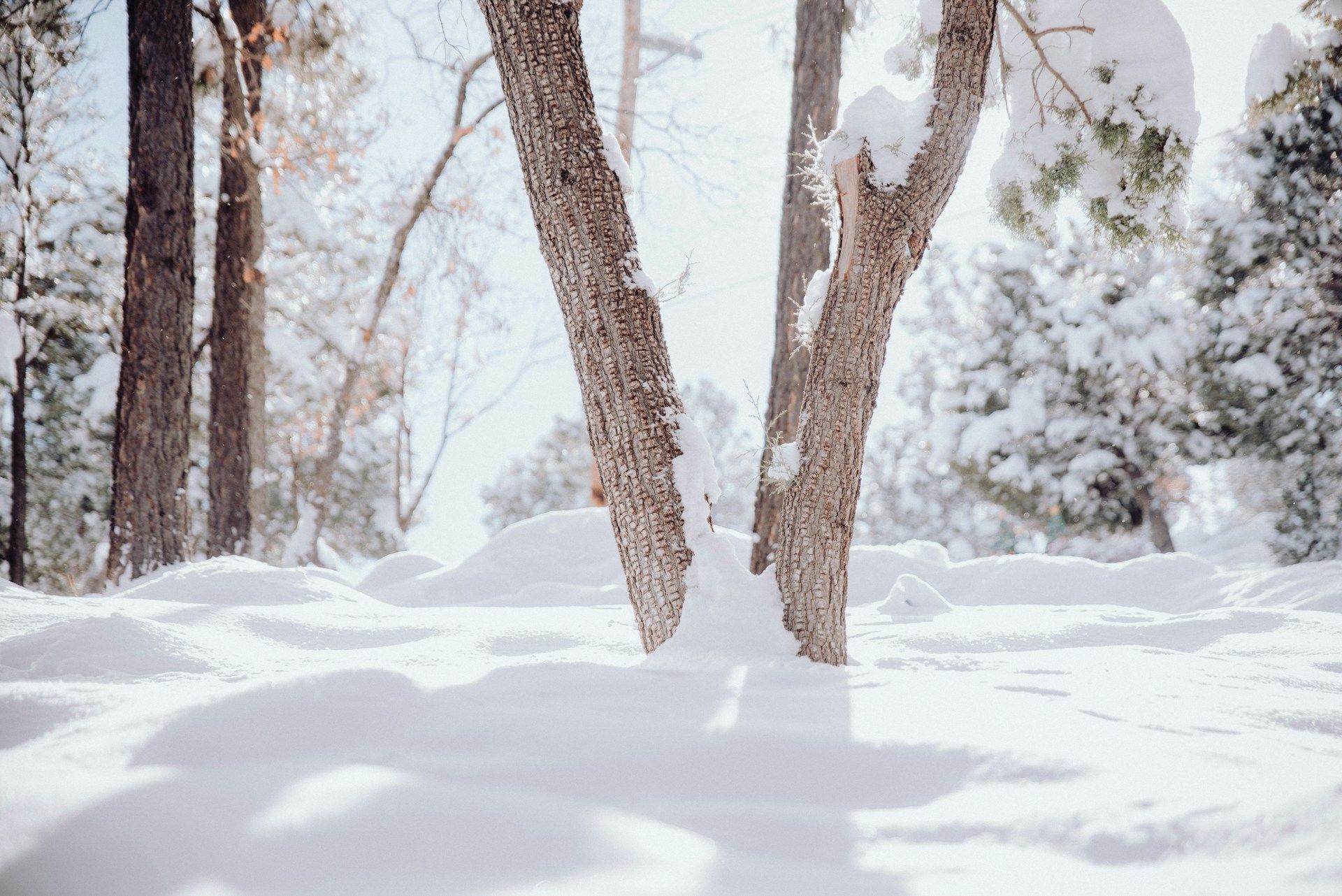 21 грудня День зимового сонцестояння / © Unsplash